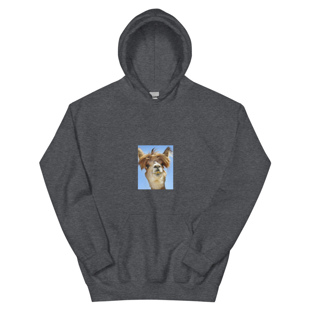 Lame Lama Unisex Hoodie