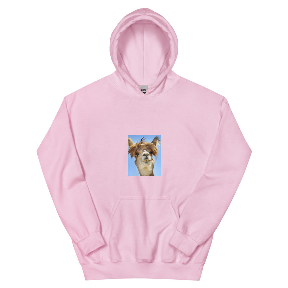 Lame Lama Unisex Hoodie