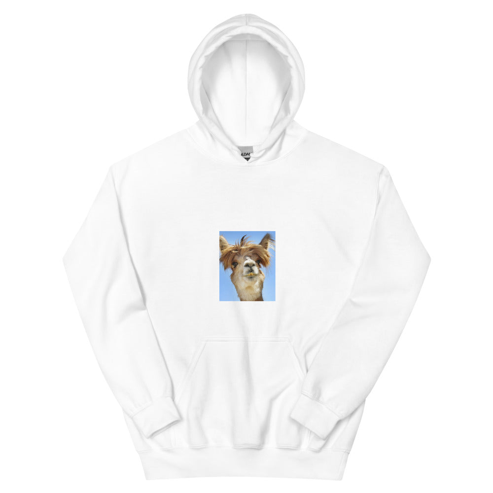 Lame Lama Unisex Hoodie